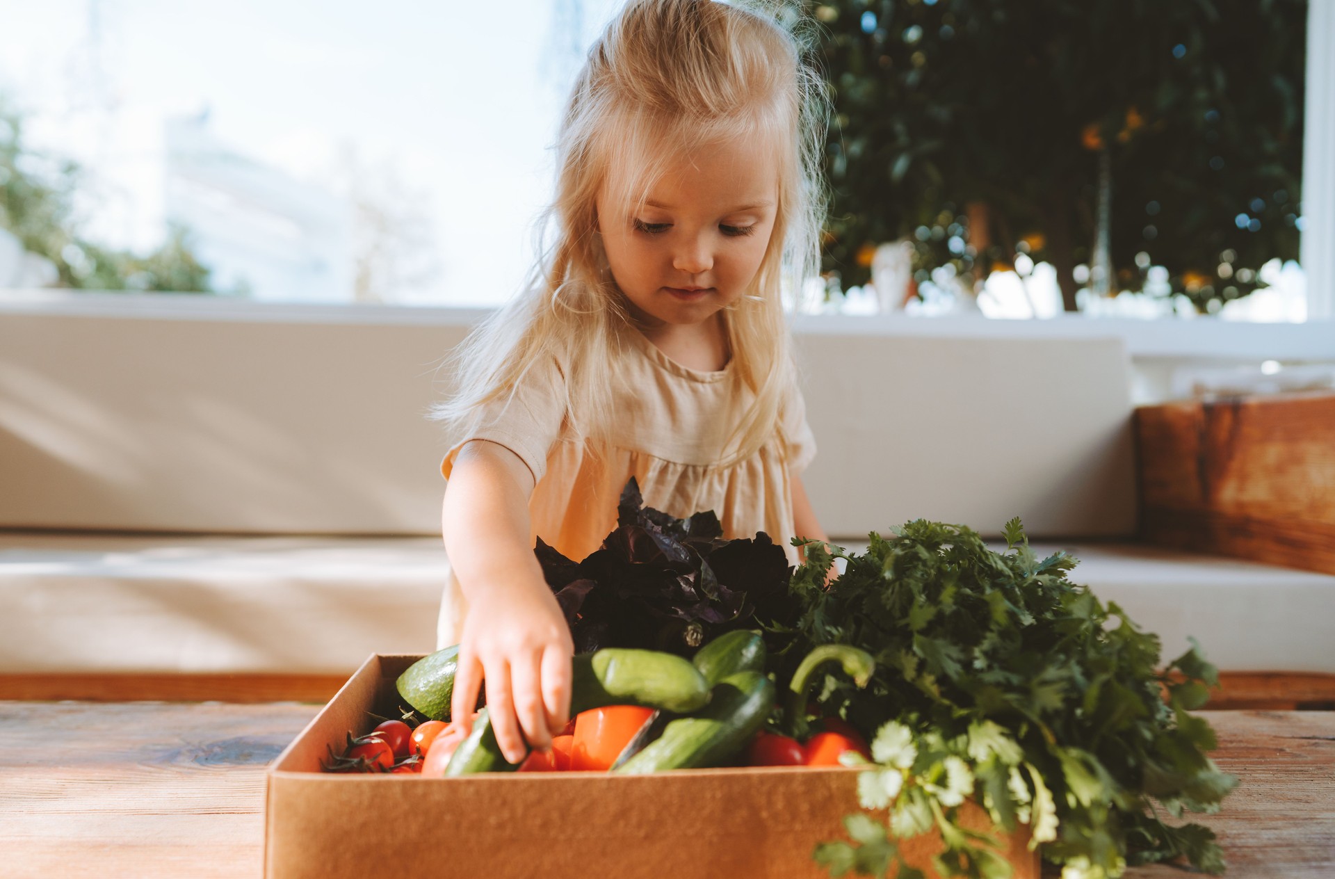 Child with vegetables harvest vegan healthy food eating lifestyle organic vegetables and greens home grown plant based diet raw nutrition